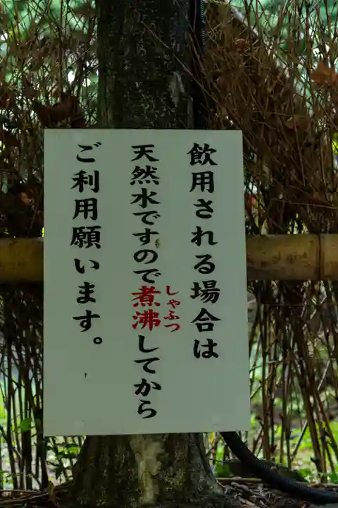 富士山本宮浅間大社(静岡県)