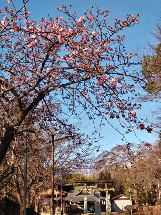 札次神社(東京都)