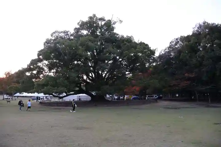 春日大社(奈良県)