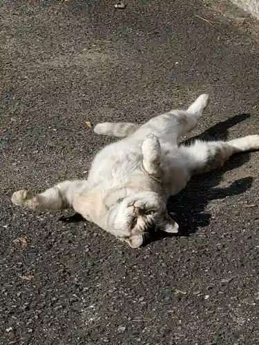熊野神社の動物