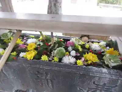 鳩森八幡神社(東京都)