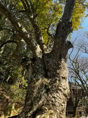 花山院菩提寺(兵庫県)