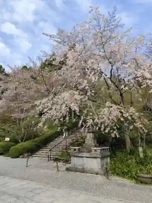 三千院門跡(京都府)