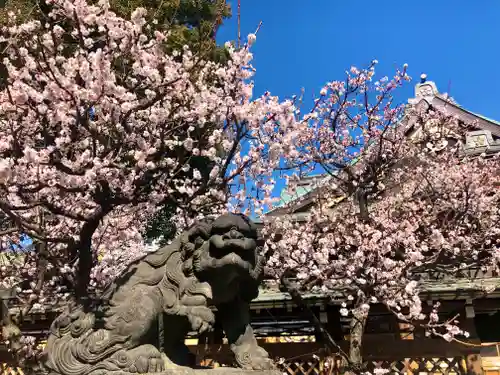 湯島天満宮の狛犬