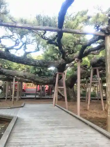 善養寺の庭園