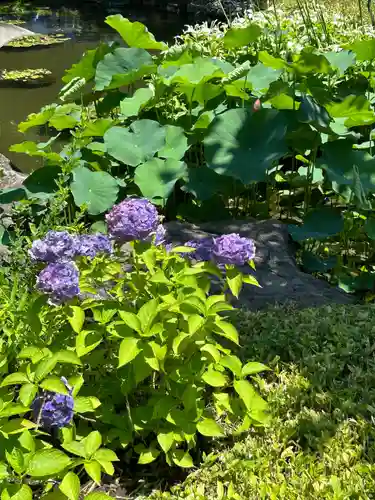 西新井大師総持寺(東京都)