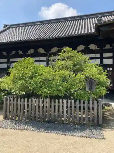 誉田八幡宮の庭園