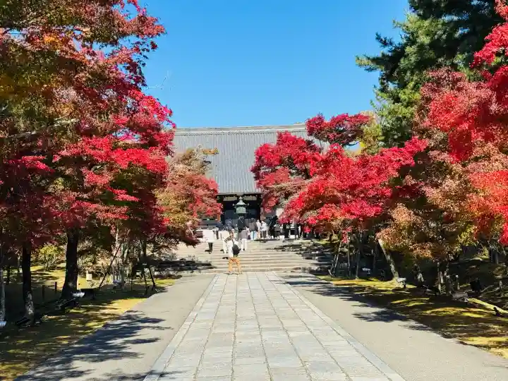 仁和寺の{uncategorized: "未分類", other: "その他", undefined: "問題あり", building: "その他建物", grave: "お墓", sacred_gate: "鳥居", guardian: "狛犬", statue: "像", buddha: "仏像", history: "歴史", nature: "自然", garden: "庭園", animal: "動物", pagoda: "塔", temizu: "手水舎", mountain_gate: "山門・神門", sanctuary: "本殿・本堂", subordinate: "末社・摂社", art: "芸術", scenery: "景色", jizo: "地蔵", ema: "絵馬", goshuin: "御朱印", omikuji: "おみくじ", items: "授与品その他", amulet: "お守り", goshuincho: "御朱印帳", eats: "食事", festival: "お祭り", votive_dance: "神楽", shichigosan: "七五三参", wedding: "結婚式", experience: "体験その他", initially: "初詣", around: "周辺", anti_infection: "感染症対策"}