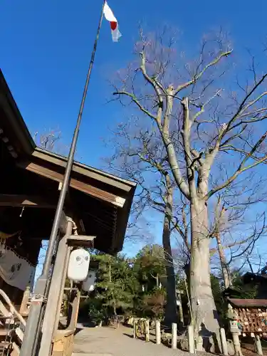 日吉神社のその他建物