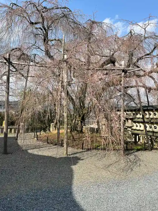大石神社の自然