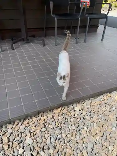 霧島神宮(鹿児島県)