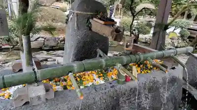 賀茂別雷神社（上賀茂神社）(京都府)
