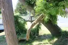 鳥海神社の自然