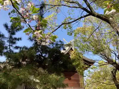 住吉神社の本殿・本堂