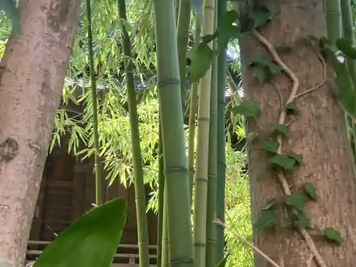 亀岡八幡宮（亀岡八幡神社）(神奈川県)