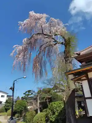 長松院(福島県)