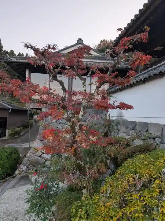 聖林寺(奈良県)
