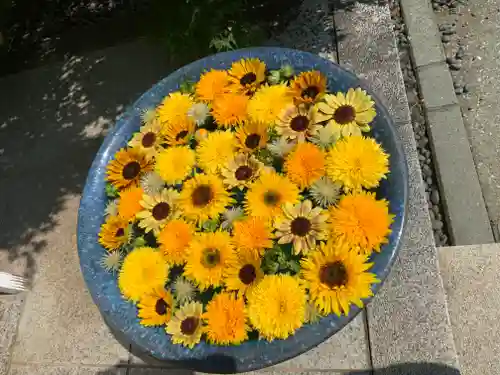 行田八幡神社の手水舎