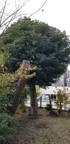 神明神社(千葉県)