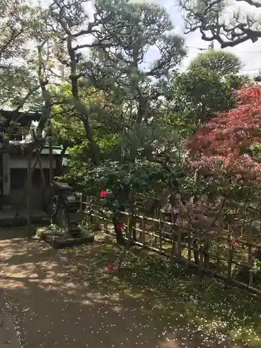 教恩寺の庭園