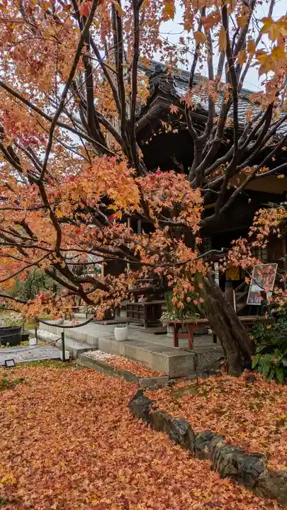 勝林寺(京都府)