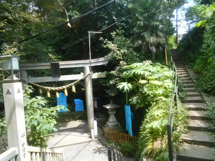 児玉神社の鳥居