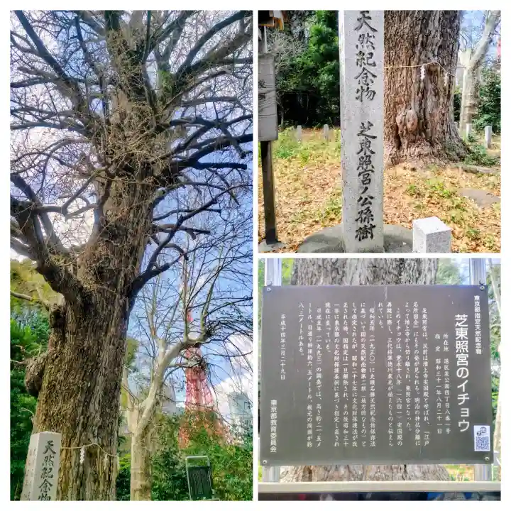 芝東照宮の{uncategorized: "未分類", other: "その他", undefined: "問題あり", building: "その他建物", grave: "お墓", sacred_gate: "鳥居", guardian: "狛犬", statue: "像", buddha: "仏像", history: "歴史", nature: "自然", garden: "庭園", animal: "動物", pagoda: "塔", temizu: "手水舎", mountain_gate: "山門・神門", sanctuary: "本殿・本堂", subordinate: "末社・摂社", art: "芸術", scenery: "景色", jizo: "地蔵", ema: "絵馬", goshuin: "御朱印", omikuji: "おみくじ", items: "授与品その他", amulet: "お守り", goshuincho: "御朱印帳", eats: "食事", festival: "お祭り", votive_dance: "神楽", shichigosan: "七五三参", wedding: "結婚式", experience: "体験その他", initially: "初詣", around: "周辺", anti_infection: "感染症対策"}