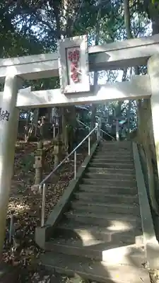 多鯰ヶ池弁天宮(鳥取県)