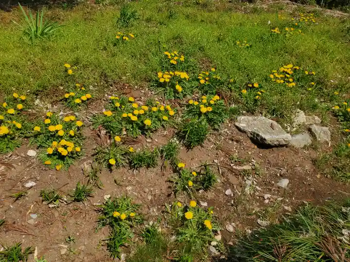 長沼八幡宮の自然