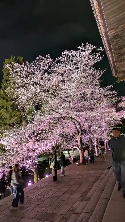 知恩院(京都府)
