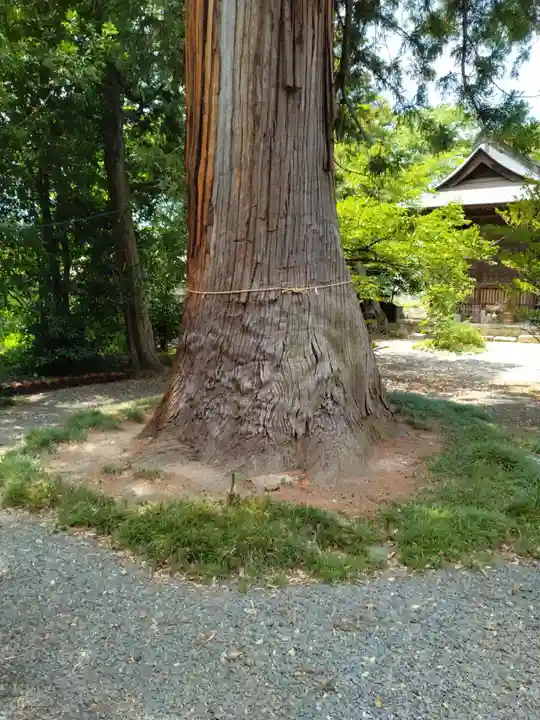 諏訪神社(福島県)