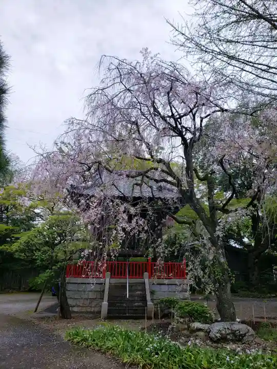 龍光寺(東京都)