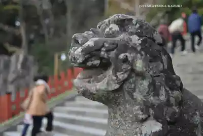 鶴岡八幡宮の狛犬