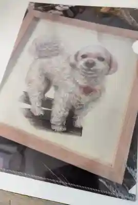 本昌寺(京都府)