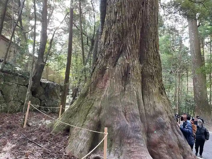 伊勢神宮内宮(皇大神宮)(三重県)