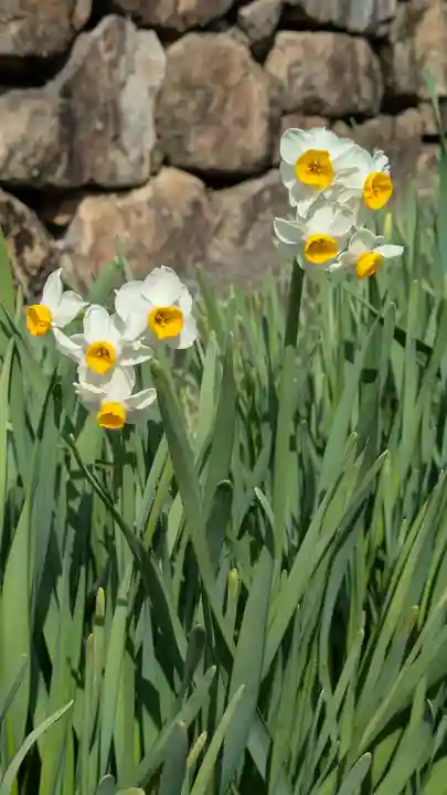 惠心院(恵心院)(京都府)
