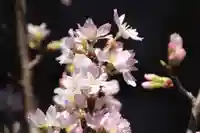 阿邪訶根神社の自然