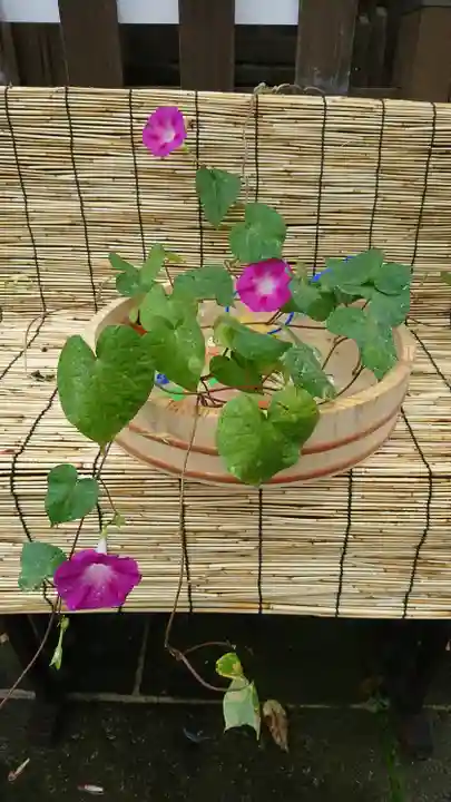 阿邪訶根神社の手水舎