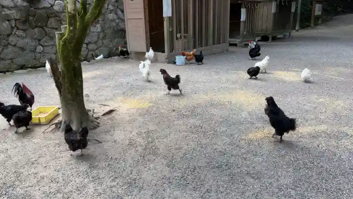 石上神宮(奈良県)