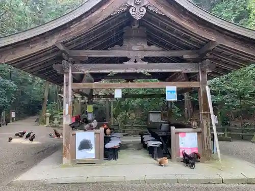 石上神宮(奈良県)