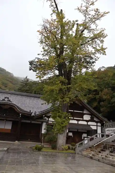 最上稲荷山妙教寺(岡山県)