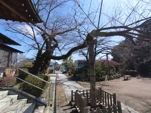 安楽寺(神奈川県)