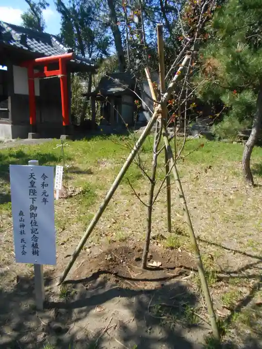 森山社(森山神社)の自然