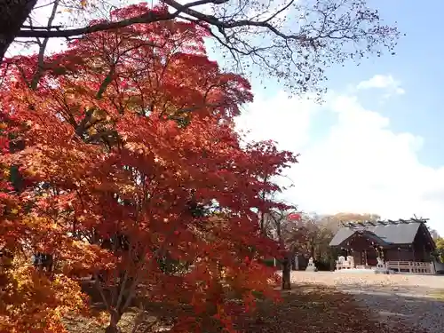 大樹神社の自然