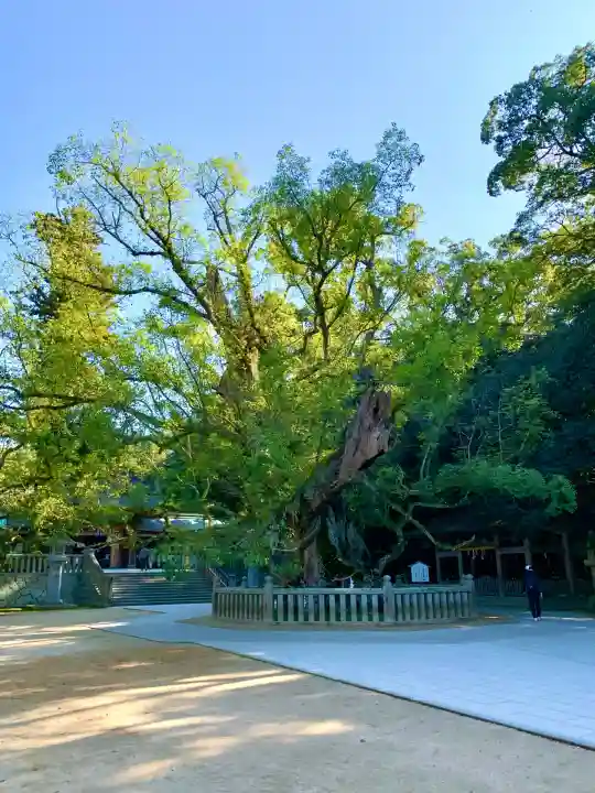 大山祇神社(愛媛県)