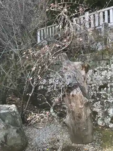 高家神社のその他建物