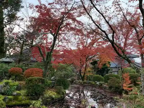 清水寺の庭園