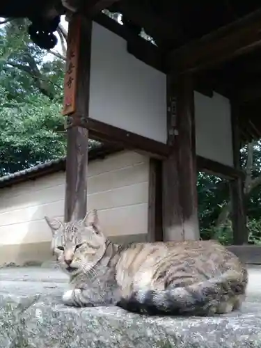 長岳寺(奈良県)