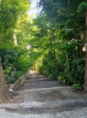所澤神明社(埼玉県)