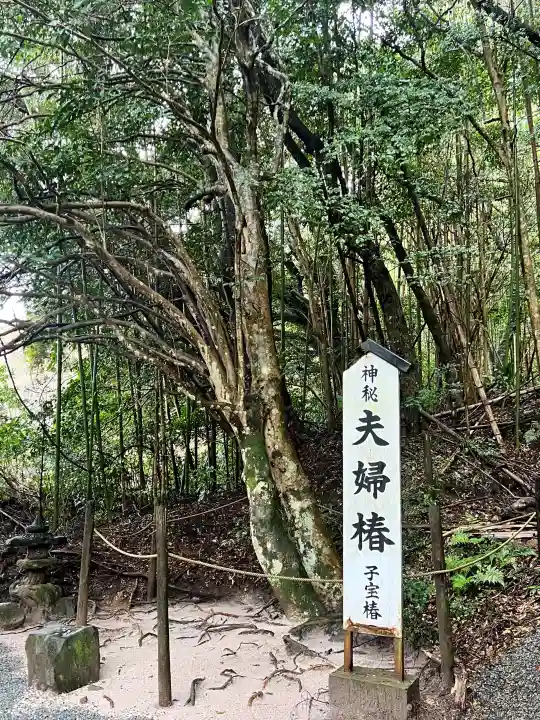 八重垣神社の{uncategorized: "未分類", other: "その他", undefined: "問題あり", building: "その他建物", grave: "お墓", sacred_gate: "鳥居", guardian: "狛犬", statue: "像", buddha: "仏像", history: "歴史", nature: "自然", garden: "庭園", animal: "動物", pagoda: "塔", temizu: "手水舎", mountain_gate: "山門・神門", sanctuary: "本殿・本堂", subordinate: "末社・摂社", art: "芸術", scenery: "景色", jizo: "地蔵", ema: "絵馬", goshuin: "御朱印", omikuji: "おみくじ", items: "授与品その他", amulet: "お守り", goshuincho: "御朱印帳", eats: "食事", festival: "お祭り", votive_dance: "神楽", shichigosan: "七五三参", wedding: "結婚式", experience: "体験その他", initially: "初詣", around: "周辺", anti_infection: "感染症対策"}